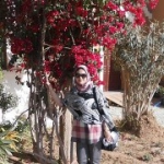 زهرة من سبأ - الجزائرتبحث عن رجال للزواج و التعارف